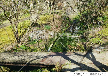 初春の小川と木橋 100041732