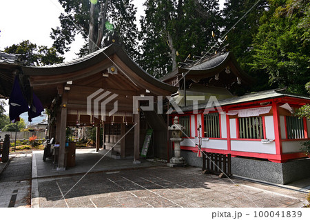 春の薭田野神社 春の薭田野神社 100041839