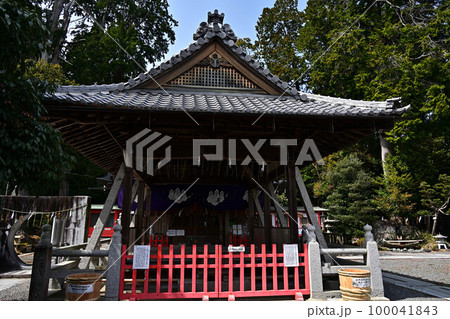 春の薭田野神社 春の薭田野神社 100041843