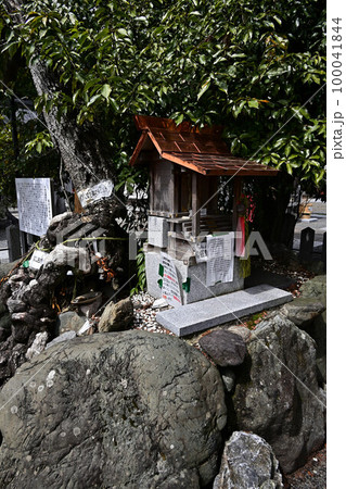 春の薭田野神社 春の薭田野神社 100041844