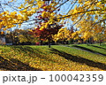 植物のある風景 100042359
