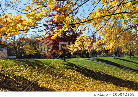 植物のある風景 100042359
