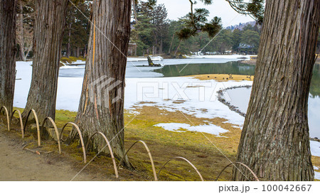 冬の毛越寺浄土庭園　大泉が池　岩手県 100042667