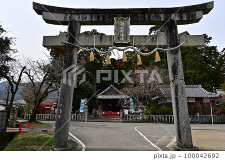 春の薭田野神社 春の薭田野神社 100042692