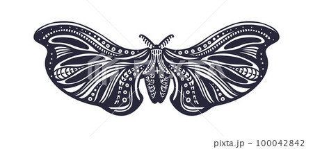 Vector butterfly, graphic moth, insect. Art tattoo 100042842
