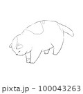 Tricolor fat cat looking down at something on the ground, line art for coloring page. 100043263