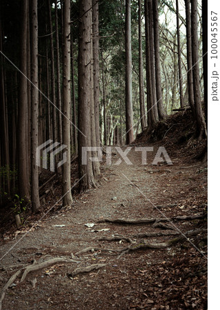 静かな山歩き 静かな山歩き 100045567