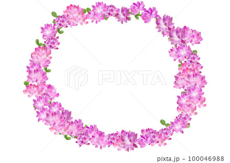 紫雲英(ゲンゲ)・蓮華草(レンゲソウ)の花輪 紫雲英(ゲンゲ)・蓮華草(レンゲソウ)の花輪 100046988
