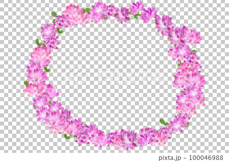 紫雲英(ゲンゲ)・蓮華草(レンゲソウ)の花輪 紫雲英(ゲンゲ)・蓮華草(レンゲソウ)の花輪 100046988