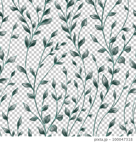 Nature seamless pattern. Twigs with transparent dark green leaves on white background Nature seamless pattern. Twigs with transparent dark green leaves on white background 100047318