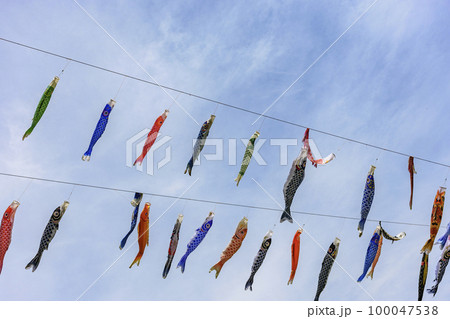 青空と桜と鯉のぼり 山形県白鷹町 青空と桜と鯉のぼり 山形県白鷹町 100047538