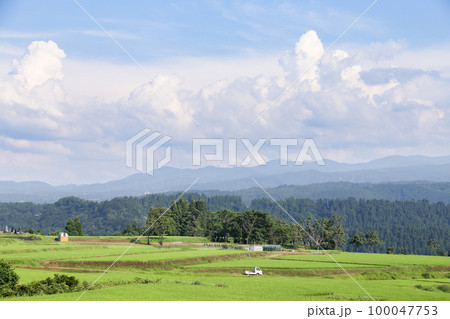 新潟県津南町　夏の魚沼産コシヒカリの田んぼと自然の風景 100047753