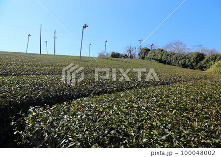 南山城村 体験plaza / 茶文化体験 【京都府南山城村】 南山城村 体験plaza / 茶文化体験 【京都府南山城村】 100048002