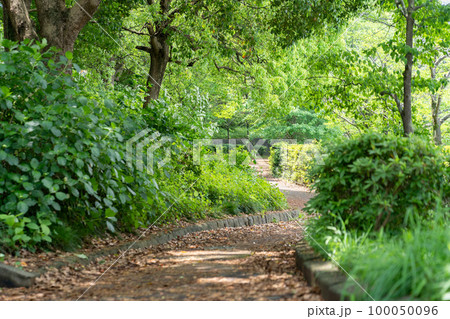 松戸運動公園 松戸運動公園 100050096