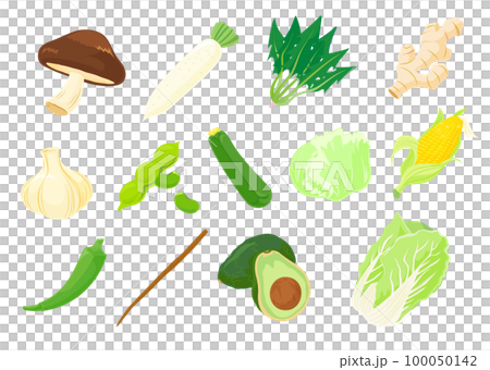 Illustration shiitake mushroom, radish, spinach, ginger, garlic, edamame, zucchini, lettuce, avocado, Chinese cabbage, burdock, okra 100050142