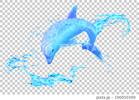 イルカと水しぶき 100050309