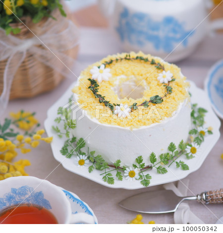 ミモザの日 ミモザケーキでティータイム ミモザの日 ミモザケーキでティータイム 100050342