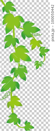 Green leaves 100050442