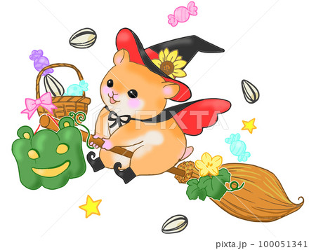 ハロウィンハムスター ハロウィンハムスター 100051341