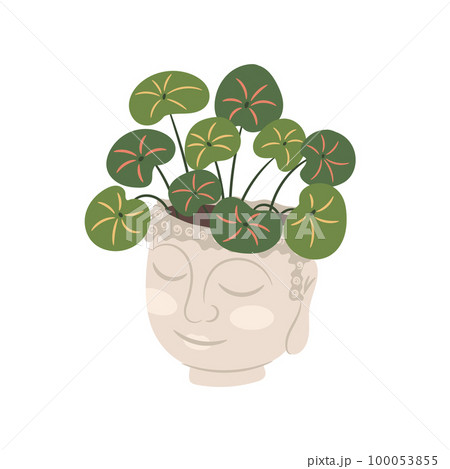 Buddha Head Ceramic Flower Pot Vector Illustration  100053855