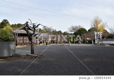 大村城 本丸跡 大村城 本丸跡 100054344