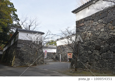 大村城　本丸虎口門 100054351