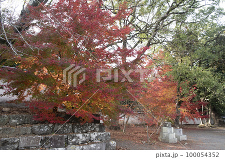 大村城 本丸跡の紅葉 大村城 本丸跡の紅葉 100054352