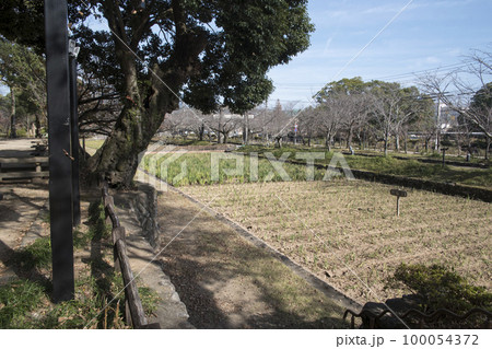 大村城 長堀跡 大村城 長堀跡 100054372