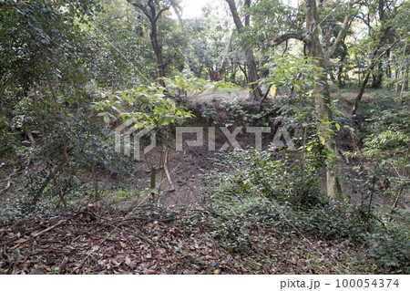 大村城　二の丸跡に残る空堀 100054374