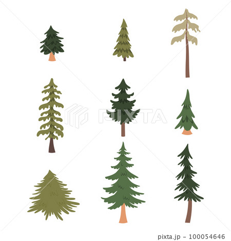 Forest pine trees set. Vector illustration  100054646