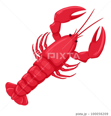 Cartoon crayfish. Seafood lobster, fresh sea food diet, tasty seafood menu flat vector illustration 100056209