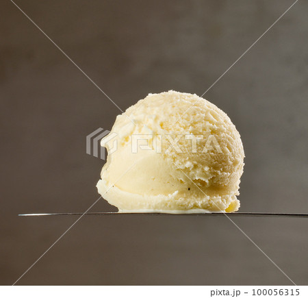 vanilla ice cream 100056315