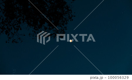 月食の夜に 100056329