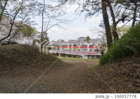岩槻城跡の公園の土塁【県指定史跡】埼玉県さいたま市 100057778