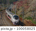 偕楽園の梅と常磐線特急 100058025