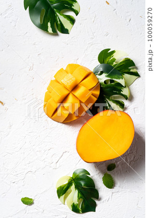 マンゴー マンゴ 夏 100059270