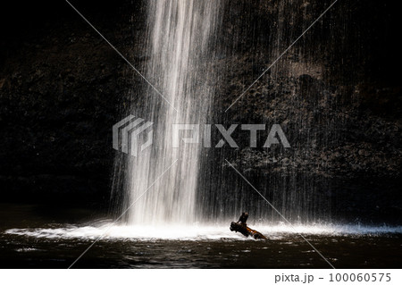 Splashing waterfall drop on pond with dark background of cave. Splashing waterfall drop on pond with dark background of cave. 100060575