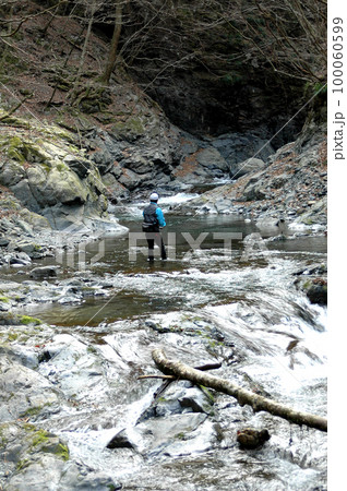 白い岩と澄みきった流れが見事な日原川源流を釣り遡る釣り人 100060599