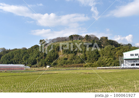 日野江城　全景 100061927