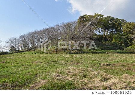 日野江城　本丸跡 100061929