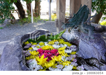 孝道山 水屋 ～横浜市神奈川区～ 100063054