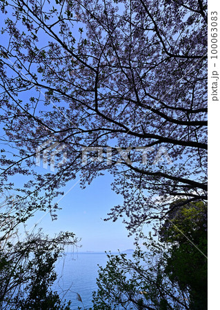 春の丹後半島 100063083