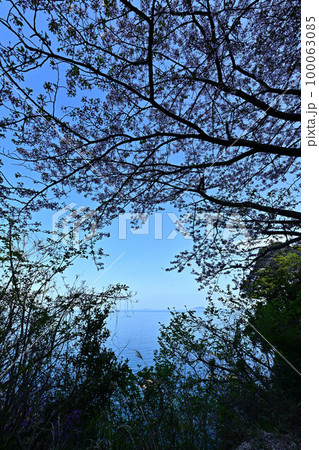 春の丹後半島 100063085