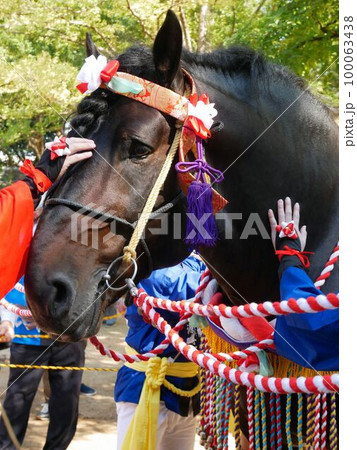 野原八幡宮の例大祭の飾り馬　（熊本県荒尾市） 100063438