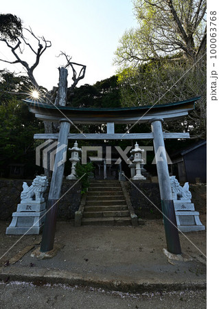 新井崎神社より 100063768