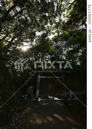 新井崎神社より 100063776