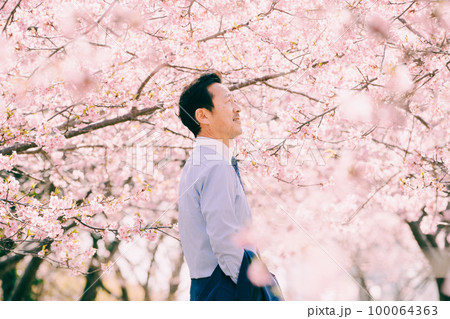 満開の桜とスーツを着たオジサン 100064363