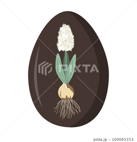 Unusual wooden or chocolate Easter egg decorated with white hyacinth flower. Vector illustration isolated on white background. 100065353