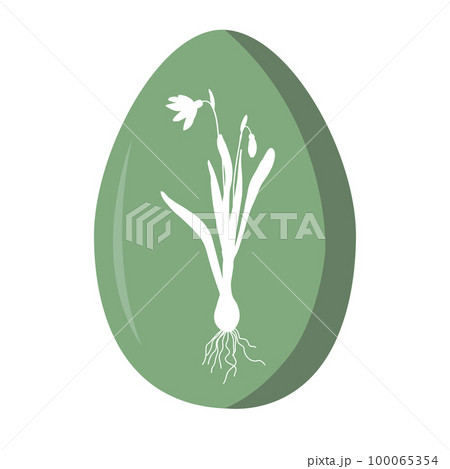 Painted Easter egg decorated with white snowdrop silhouette. Vector illustration isolated on white background. 100065354