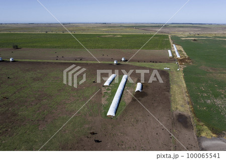 Silo bag, grain storage in La Pampa, Argentina 100065541